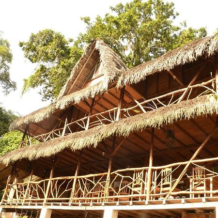 Hostal Pakay Tena Zewnętrze zdjęcie